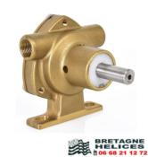 Pompe bronze de refroidissement 020 série 51520 BSP JABSCO 51520-2001