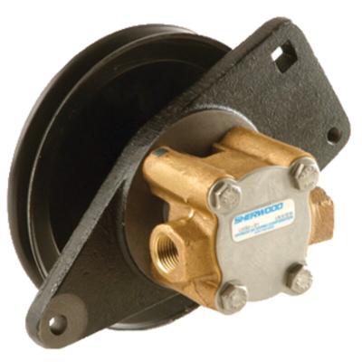 POMPE DE REFROIDISSEMENT ONAN 132-0395, 132-0430 SHERWOOD G8002