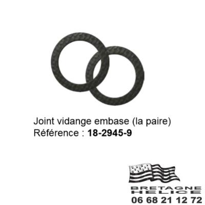 LOT DE 2 JOINTS DE VIS DE VIDANGE ADAPTABLE 18-2945-9 OMC/JOHN/EVIN OEM 307552