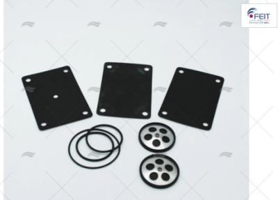 KIT DE REPARATION POMPE FEIT OEM 0001.1.01.KIT