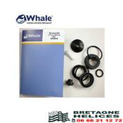 KIT ENTRETIEN POMPE A MAIN MK5 ET MK6 WHALE AK0618